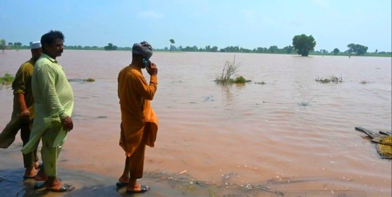 Pakistan’s Wildlife Faces Floods, Habitat Loss, and Hunting Threats